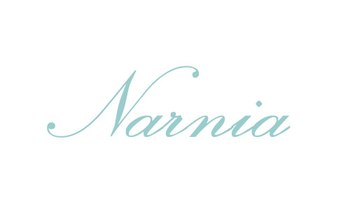 narnia1-copy.jpg